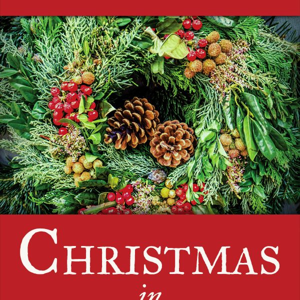 Christmas in Beaufort (Book 6)